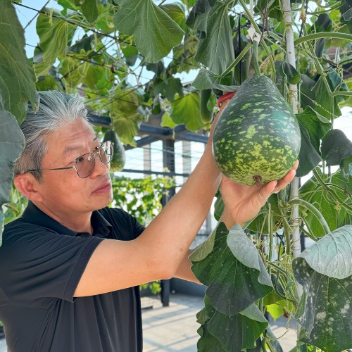 總部頂樓有農夫